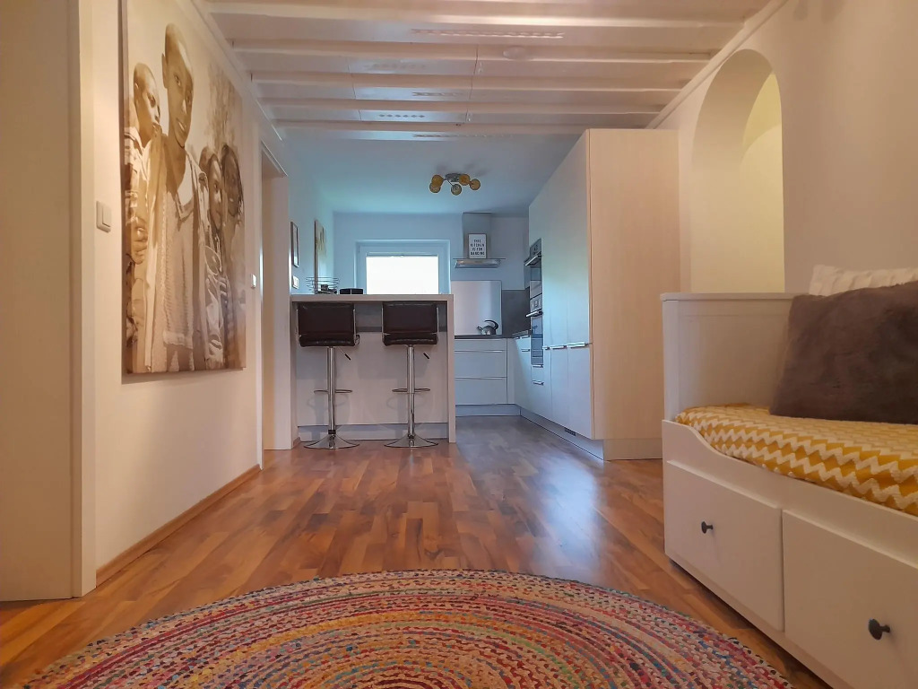 Cosy Apartment in Dienten with mountain view