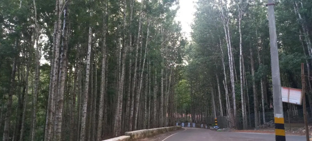 iSTAYS - Loop Road Yercaud