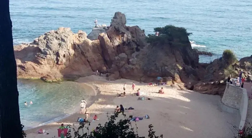 Estudio Lloret de Mar