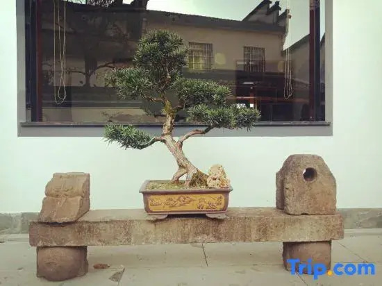 Huangshan Xishi Xiaozhu Homestay