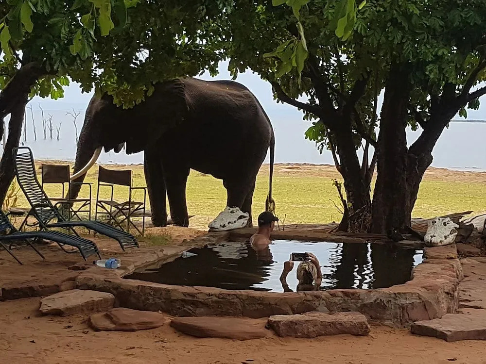 Rhino Safari Camp