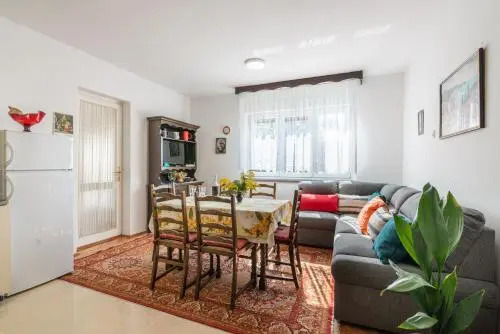 Apartment Vida