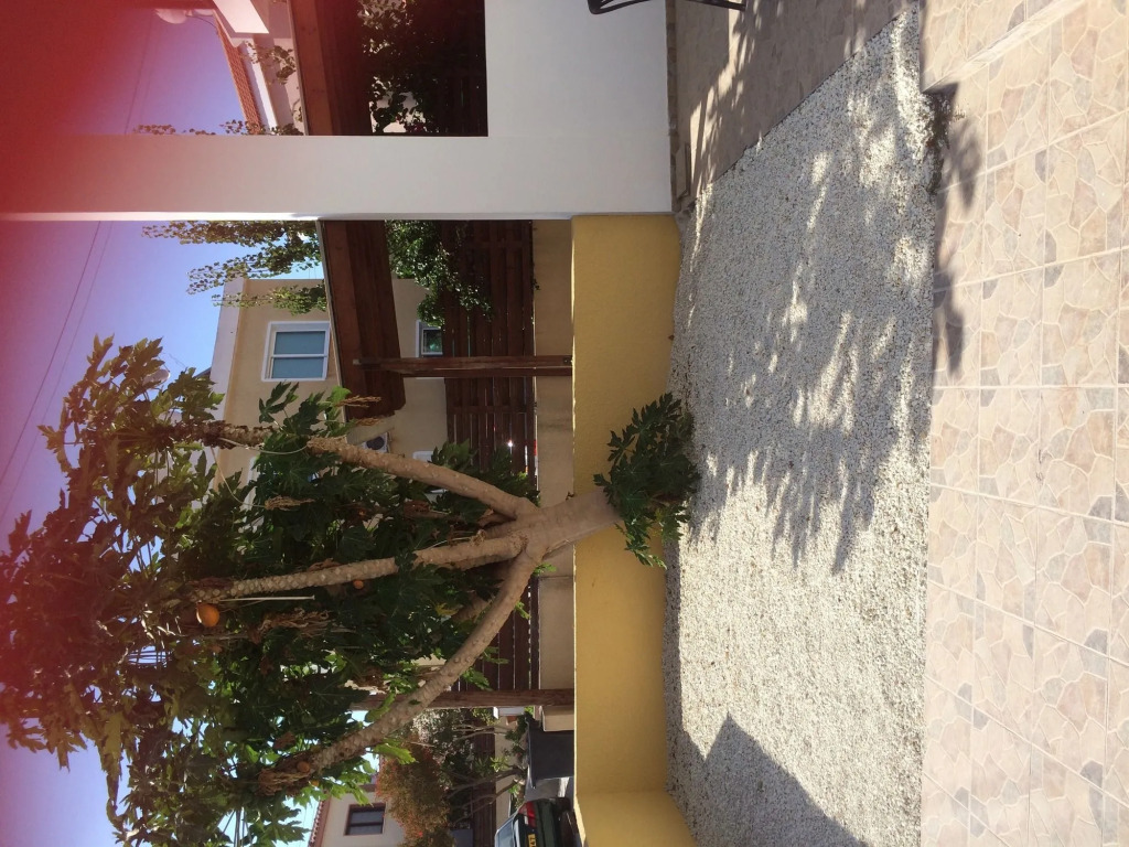 Nikoleta's House