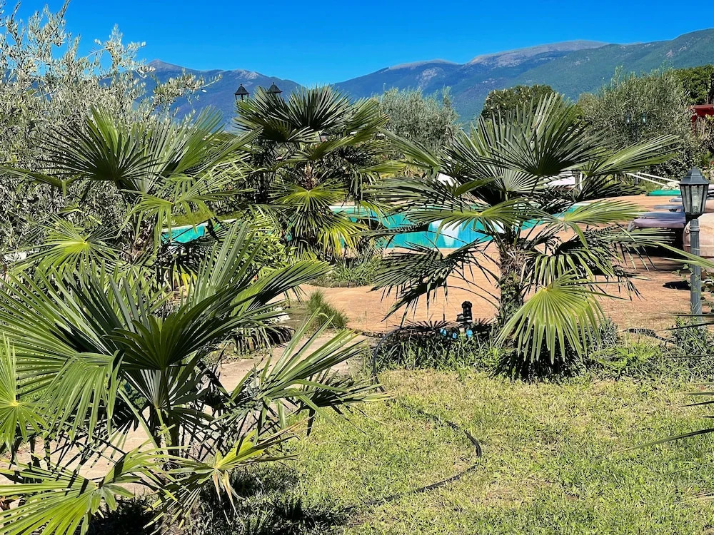 Apt 5 - Wondrous Infinity Pool, Extensive Grounds in Spoleto. Sleeps 4