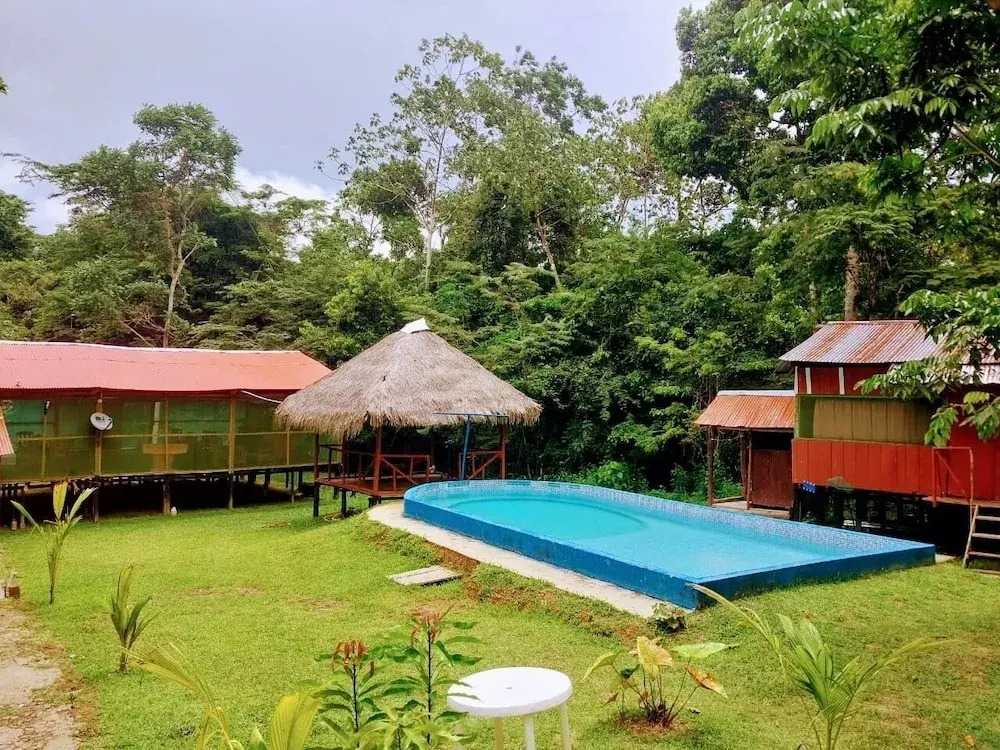 Amazon Queen Lodge