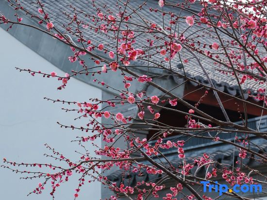 Zhongwu Hotel Nine Garden