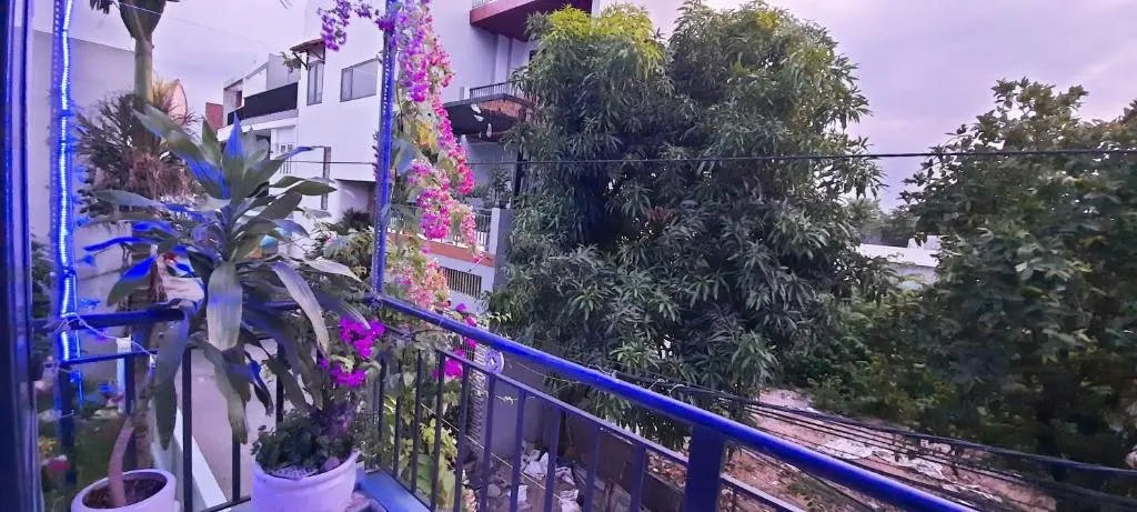 Sena home 2nd*near Danang Han river*Dragon bridge