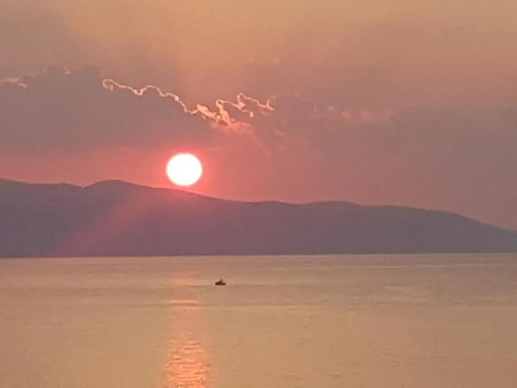 4 Ambelia paradise