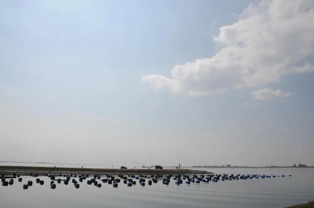 Residentie Oosterschelde