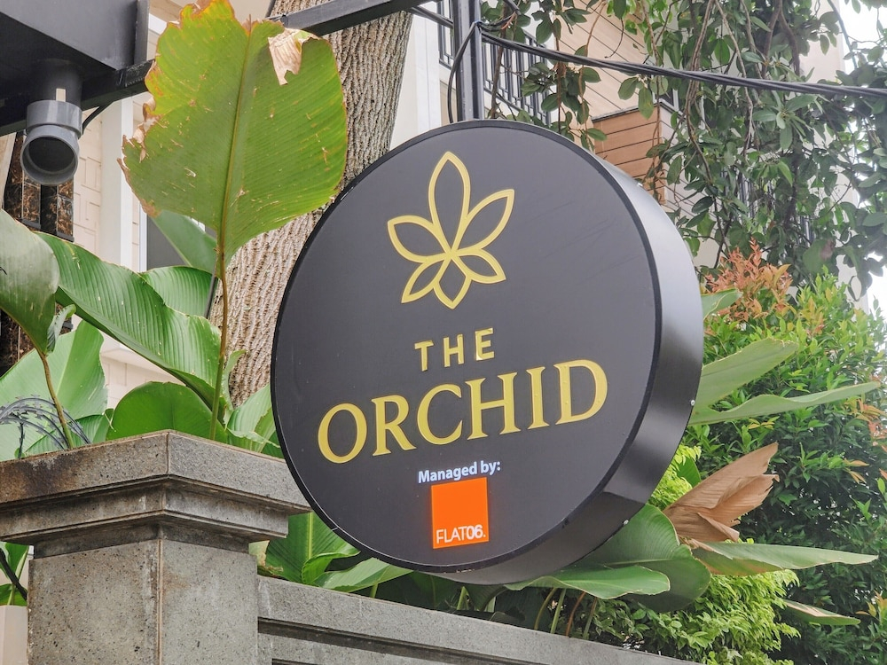 The Orchid by FLAT06