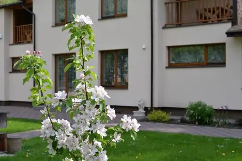 Žemyna Apartmentai