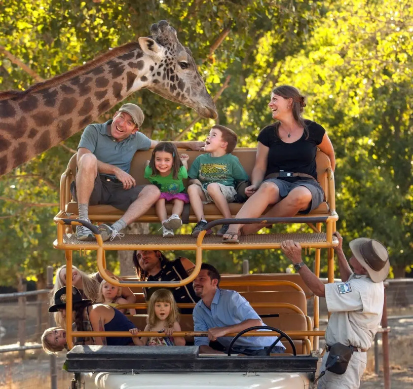 Safari West