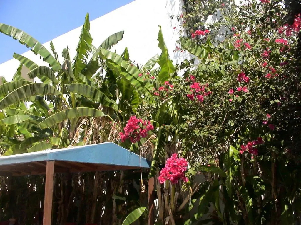 Sea Breeze 2 Apartments