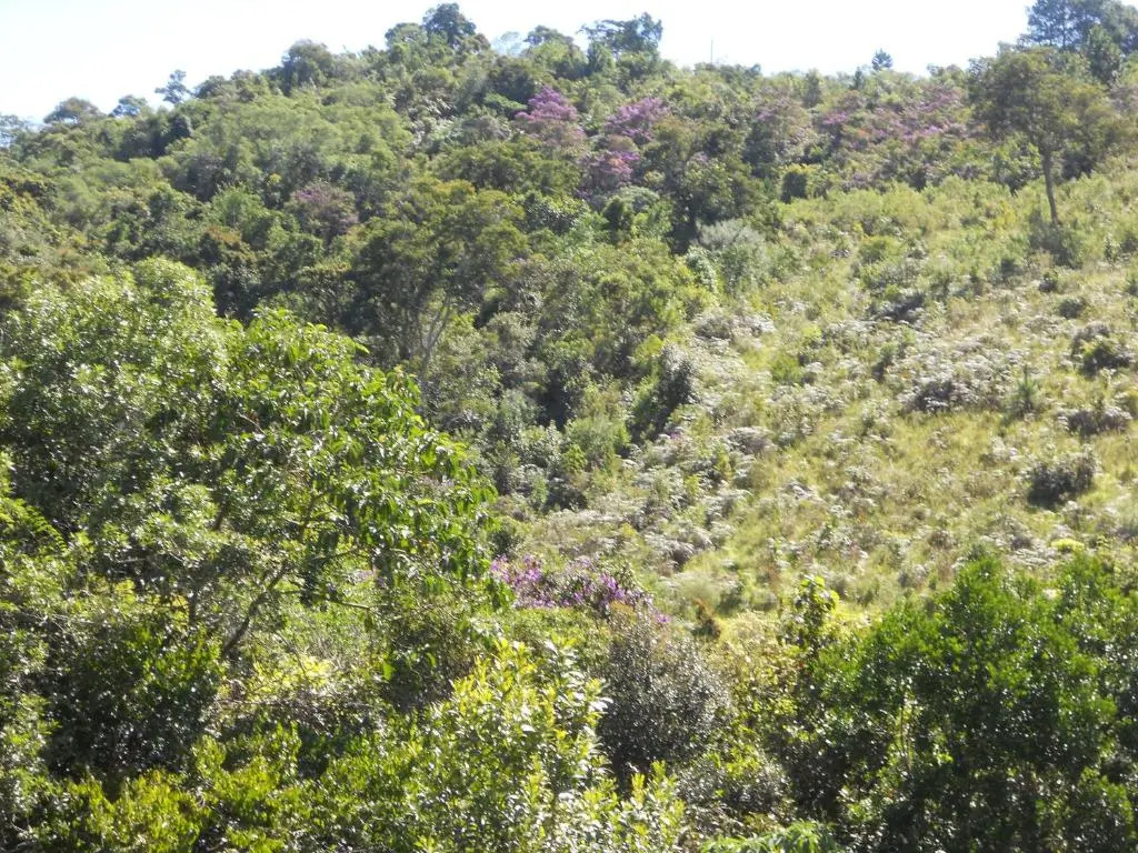 Chalés Serrinha do Papagaio