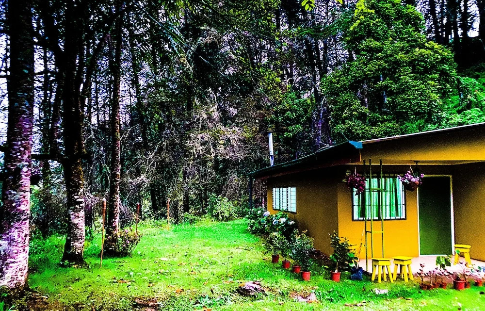 River Nest Lodge Costa Rica