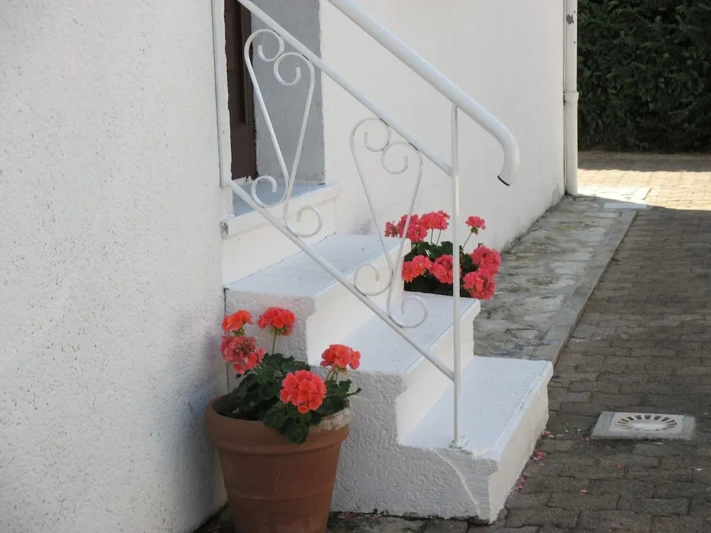 Les Roses de Rita