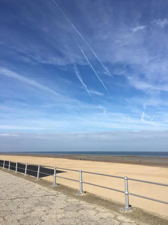 Au gré du vent