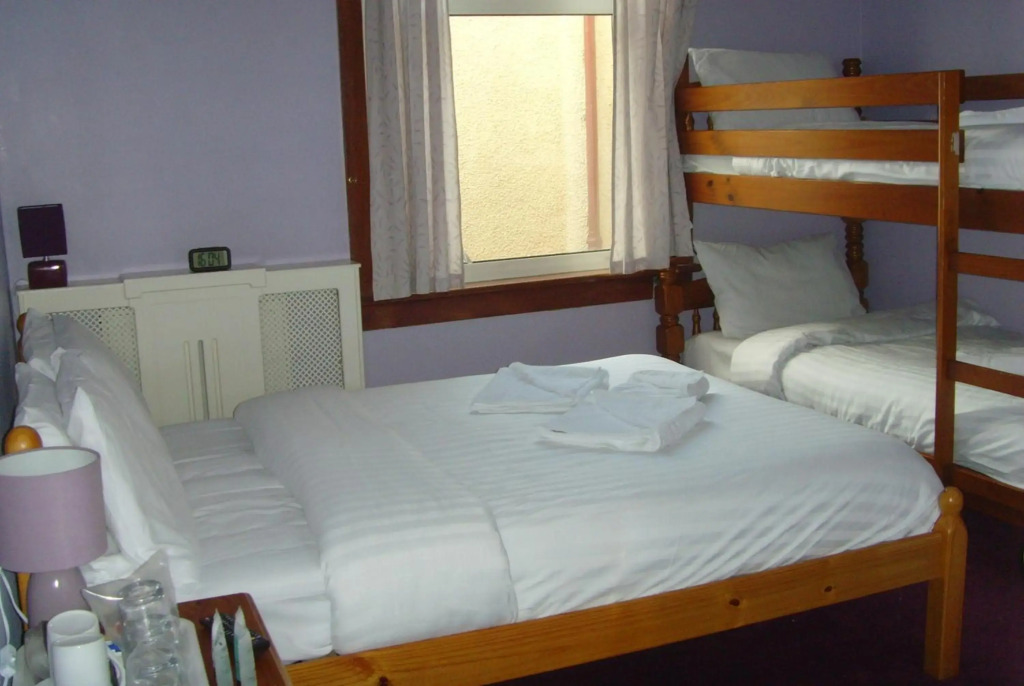 Twin Lions Hotel