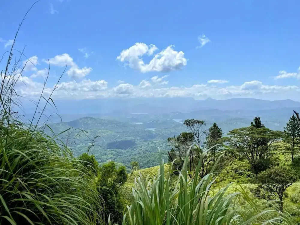 Bawlana Estate Kandy by Maniumpathy close to Pekoe Trail Stage 1 & 2
