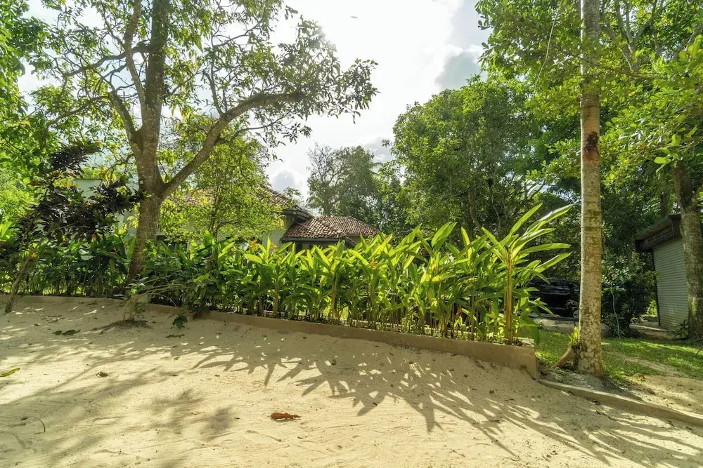 Bird Of Paradise - Ahangama Villa