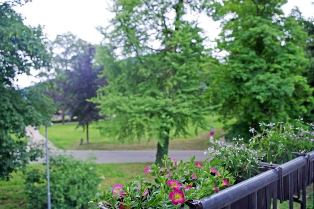 Ferien-Wohnung am Menzer-Park