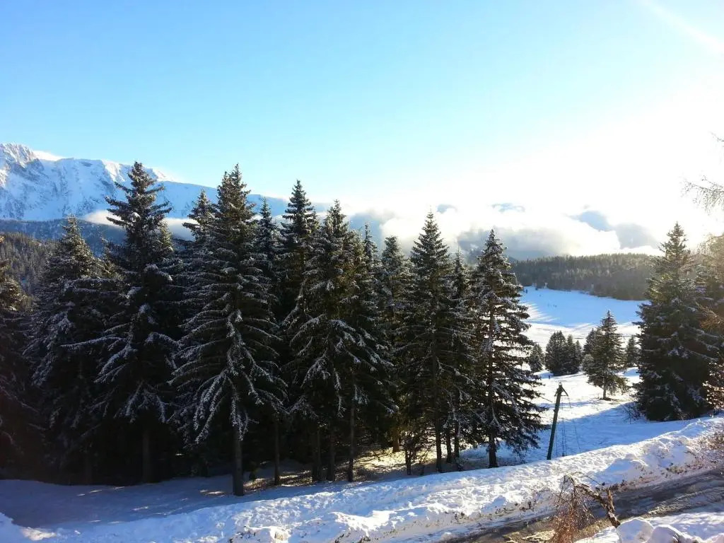 CHAMROUSSE-SPORT&DETENTE appartement 6 couchages avec superbe vue