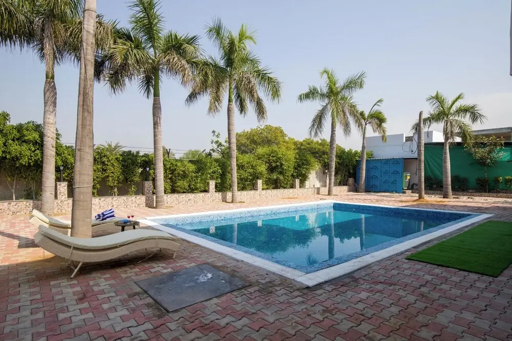 ELIVAAS Ivory Estate Pet-friendly Farm
