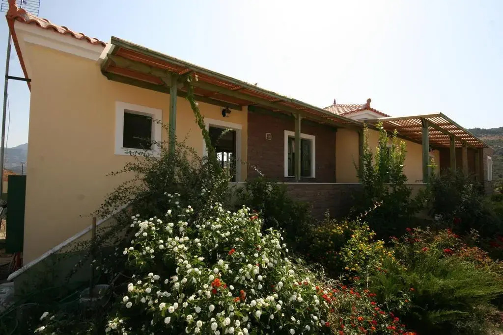 Dimitris Holidays