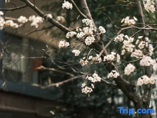Mishan Xiyun Lake View Homestay Resort