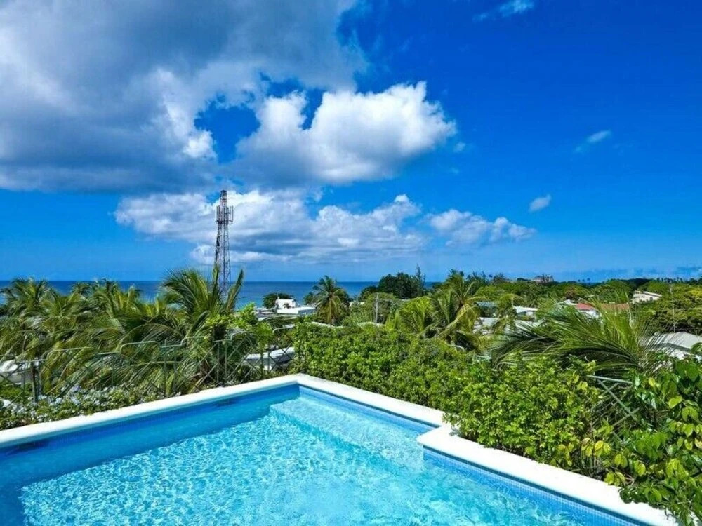 Dolphins Villa