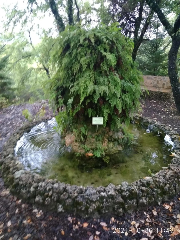 Apartamento Casa Romero