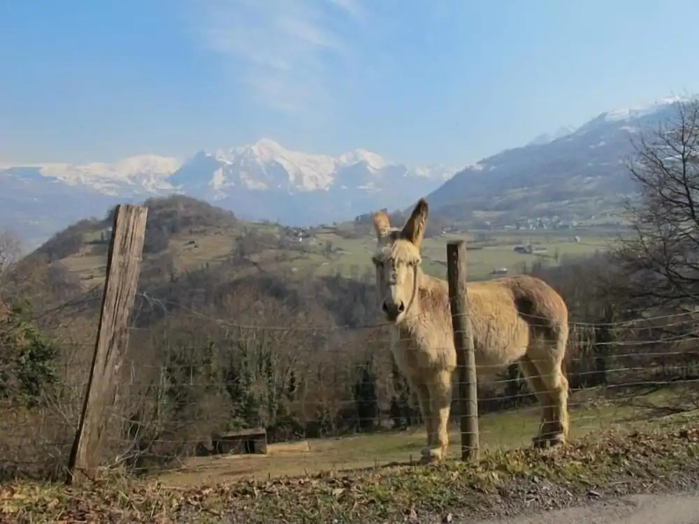 Le domaine du mont de gez