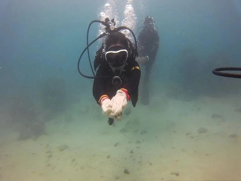 Atoll Dive Travel Center
