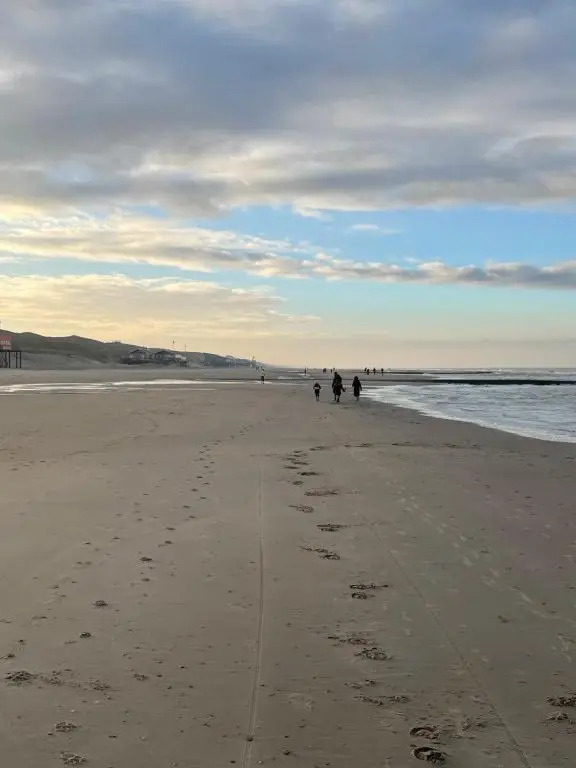 CallantsDuinzicht, Beachappartement 24