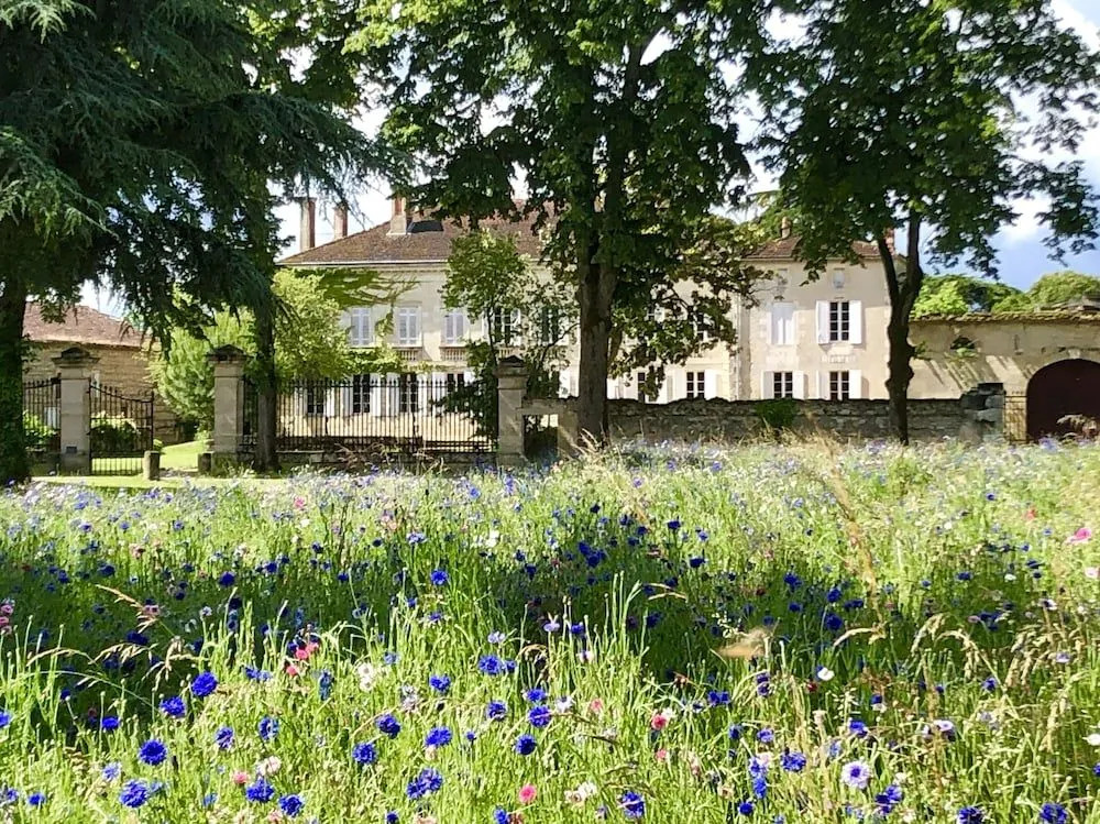 Château Rouge 47