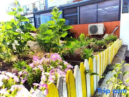 Laoshan District Yihai Beili Accommodation Service Center