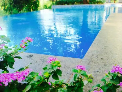 Luxurious 2BHK for Ultimate Holiday Experience in Goa - 2