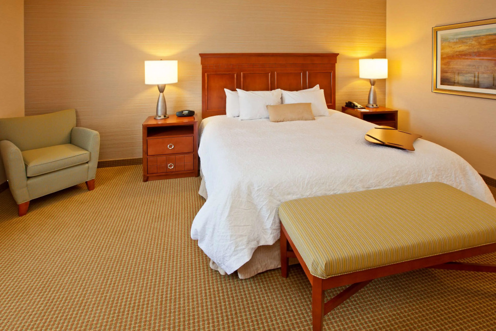 Hampton Inn Detroit/Auburn Hills-North