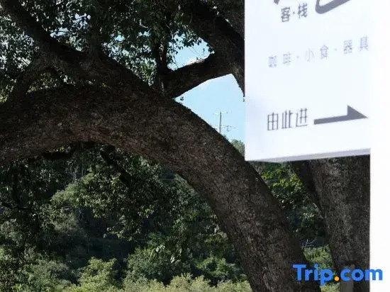 Wuyuan Treeside Camphor House