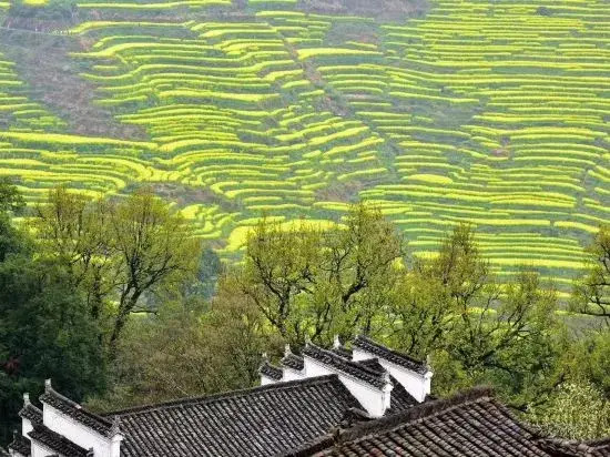Huangling Impression Boutique Hostel