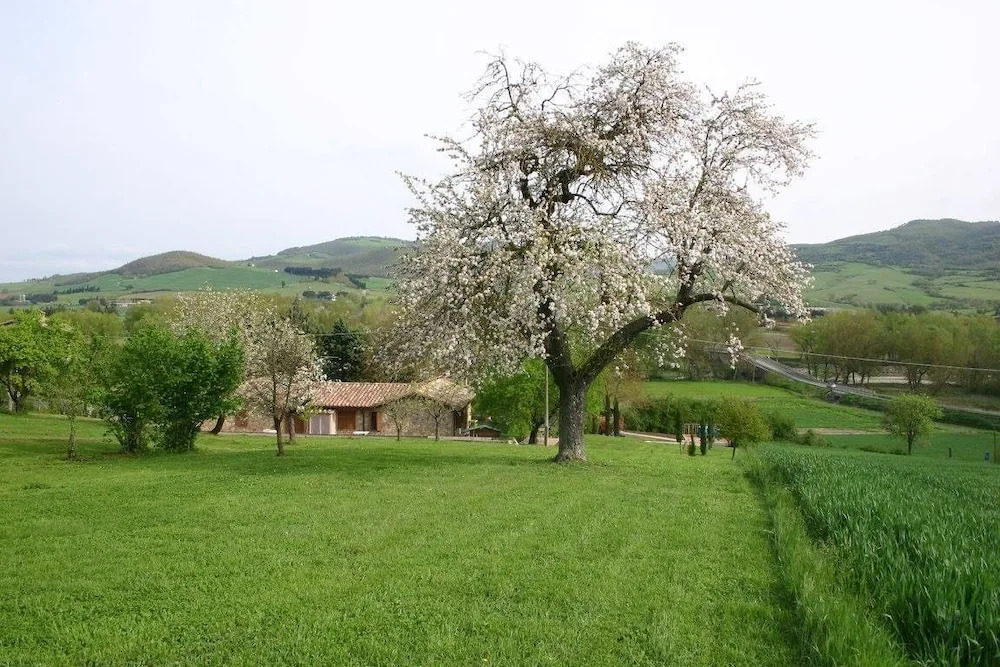 Casale la COLLINA DEI CILIEGI