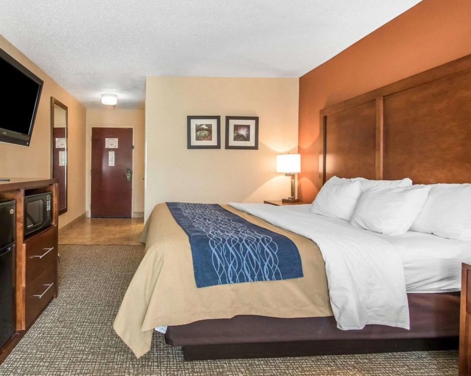 Comfort Inn Livingston
