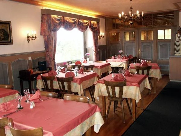 Logis Hotel & Restaurant - Les Vosges