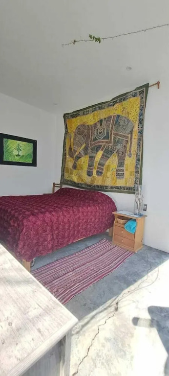 Casa Lucía Natural