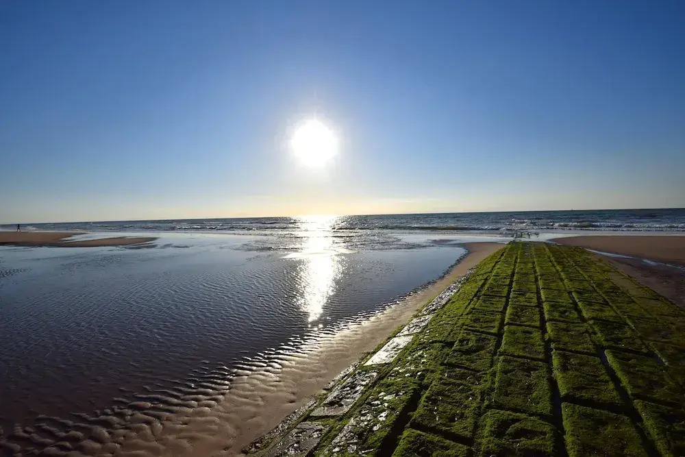Coastal Apartment in Middelkerke Steps From the Sea