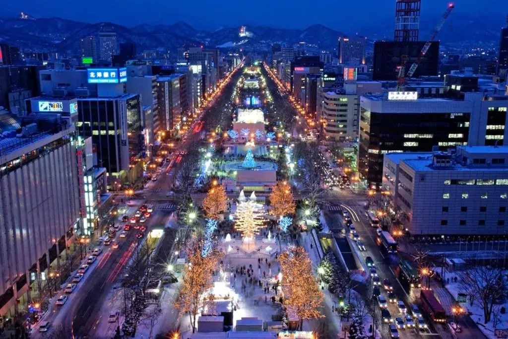 kODATEL Sapporo Odori park 301