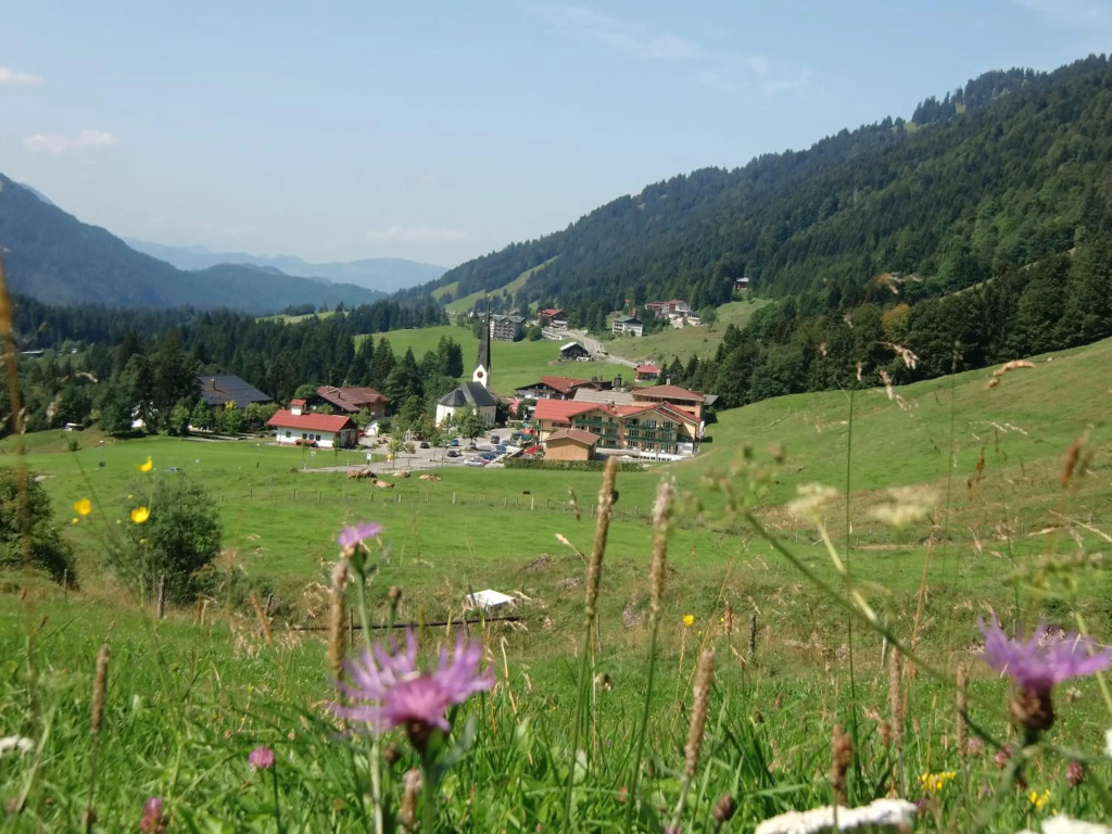 Gemütliche Ferienwohnung Bergwiese, 2-Raum, separates Schlafzimmer, schönen Balkon oder Terrasse, Komfort Ausstattung, ruhige Lage, kostenfrei WLAN, Sauna im Landhaus, Brötchenservice, Parkplatz kostenfrei, Hunde auf Anfrage, Tankstelle für E-Autos