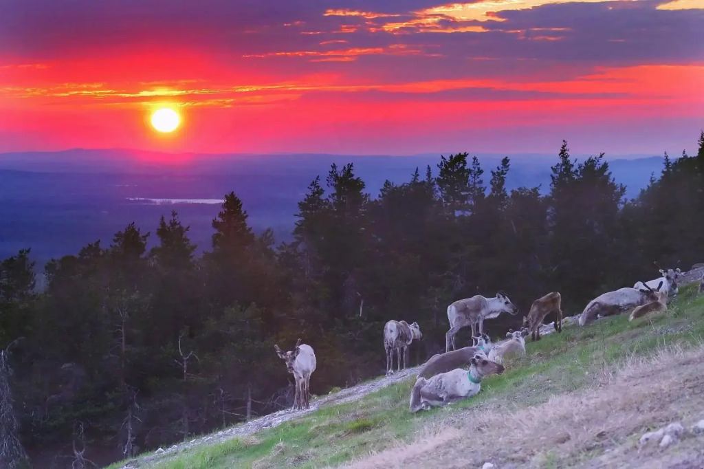Holiday Club Ruka Cottages