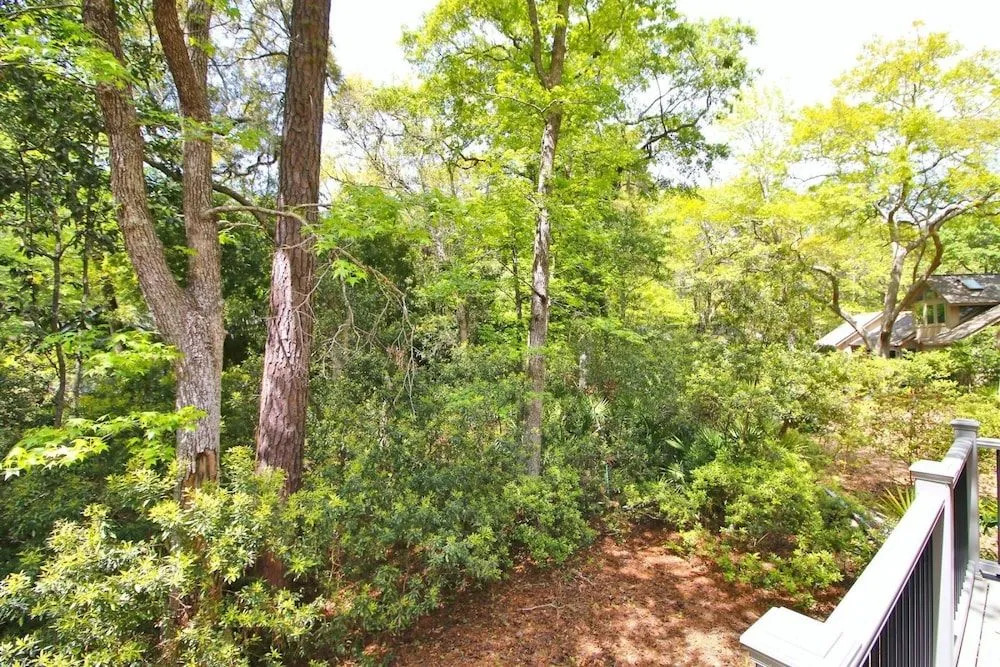 Forest Drive 13