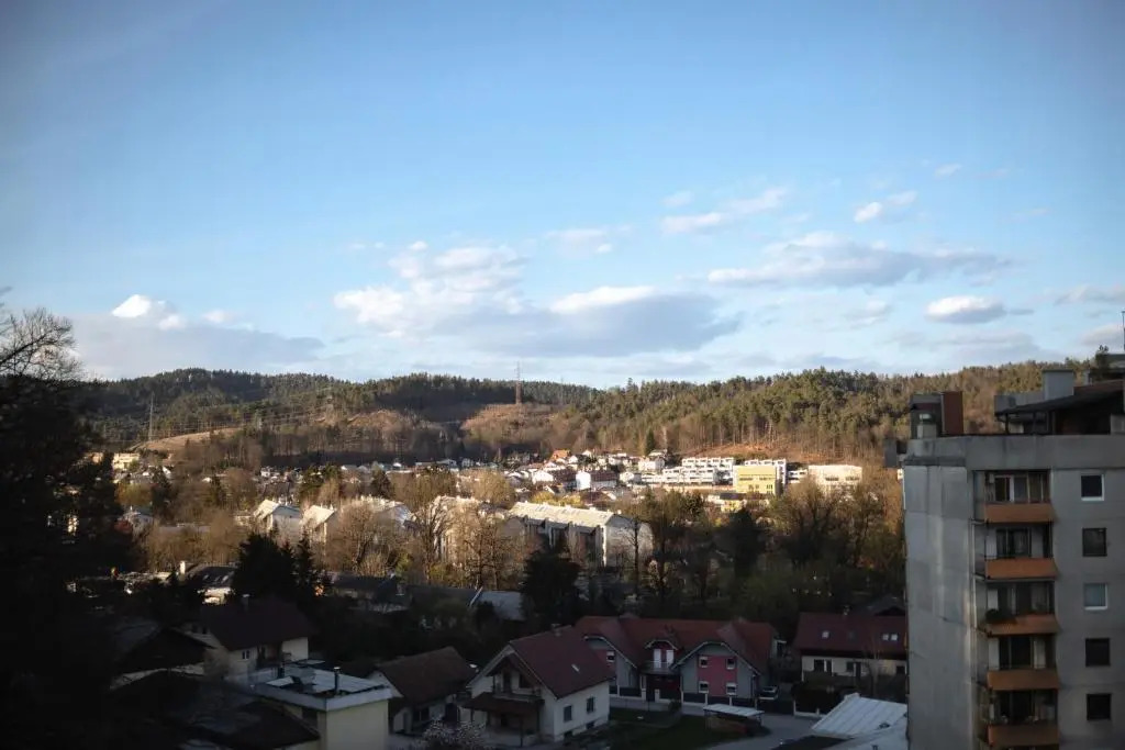 Elegant 1-bedroom apartment near hill forest
